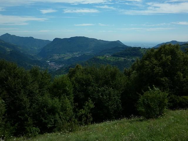 faggi 020.JPG